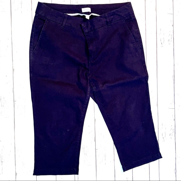Market & Spruce Navy Capri Pants- Stitch Fix 16 W - Picture 3 of 7